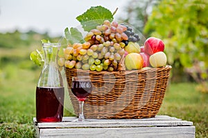 Organic fruit in basket in summer grass. Decanter and glass of wine.