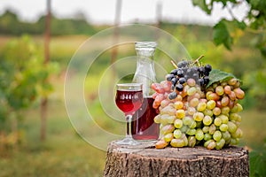 Organic fruit in basket in summer grass. Decanter and glass of wine.