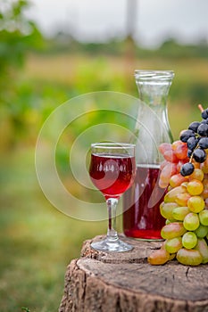 Organic fruit in basket in summer grass. Decanter and glass of wine.