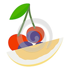 Organic fruit icon isometric vector. Fresh ripe juicy cherry plum and pomelo