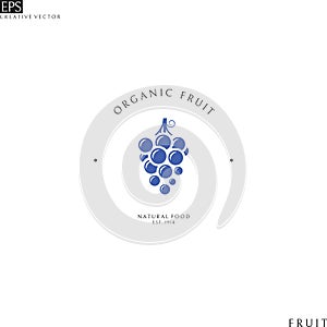 Organic fruit. Logo template