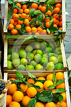 Organic fruit market