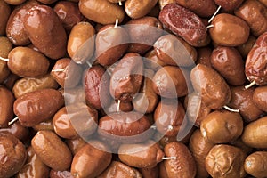 Organic fruit of the Oleaster, Silver berry or russian olive