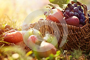 Organic fruit in summer grass