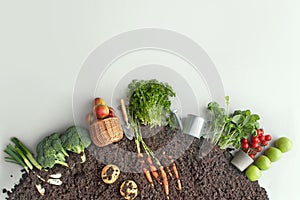 Organic fruit and vegetable garden patch circle