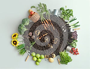 Organic fruits and vegetables garden circle