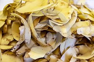 Organic garbage from potato peels for the compost