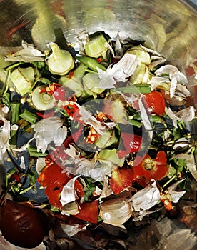 Organic garbage, remains of vegetables and green