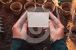 Organic gardener business card mock up