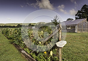 Jardinería en montanas 