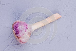 Organic garlic bulb with stem.