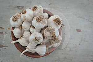 Organic garlic in a pot