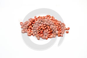 Organic gina bean seeds photo