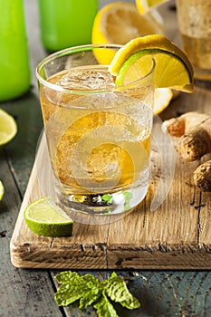 Organic Ginger Ale Soda