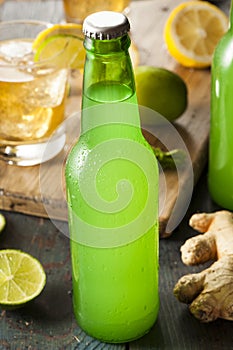 Organic Ginger Ale Soda