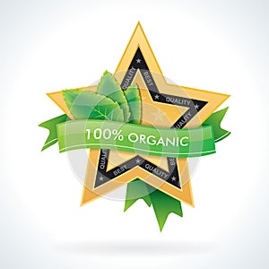 Organic gold star emblem with green leaves