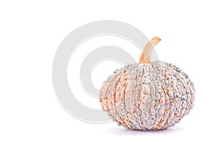 Organic golden pumpkin squash on white background healthy kabocha Vegetable food isolated