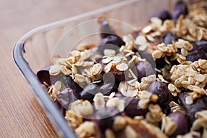 Organic Granola- baked oats with plums