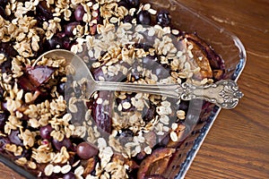 Organic Granola- baked oats with plums