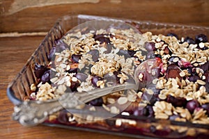 Organic Granola- baked oats with plums