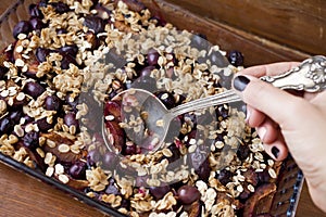 Organic Granola- baked oats with plums