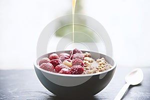 Organic Granola Protein Bowl