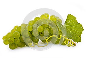 Organic grapes