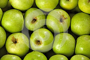Organic green apples