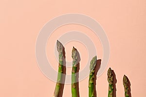 Organic green asparagus spears on pink background. Healthy nutrition, food and seasonal vegetables harvest. Close up