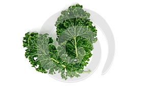 organic green kale leaf vegetable closeup on white background