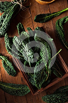 Organic Green Lacinato Kale