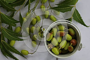 Organic Green leaves of neem tree on table Scientific name: Azadirachta indica