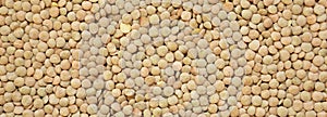 Organic green lentils background, overhead view. Close-up