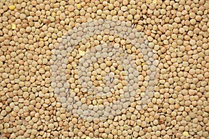 Organic green lentils background, view from above. Close-up