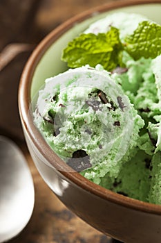 Organic Green Mint Chocolate Chip Ice Cream