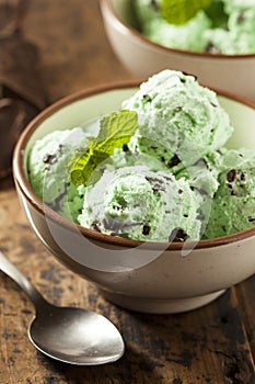 Organic Green Mint Chocolate Chip Ice Cream