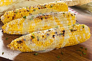 Organic Grilled Corn on the Cob