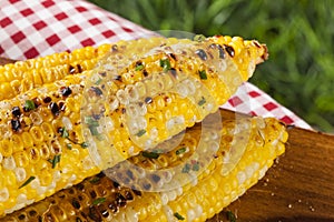 Organic Grilled Corn on the Cob