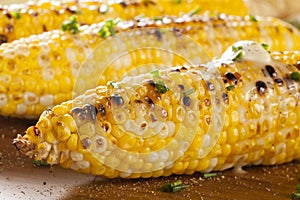 Organic Grilled Corn on the Cob