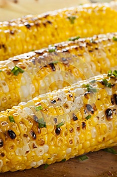 Organic Grilled Corn on the Cob
