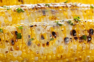 Organic Grilled Corn on the Cob