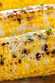 Organic Grilled Corn on the Cob