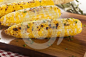 Organic Grilled Corn on the Cob