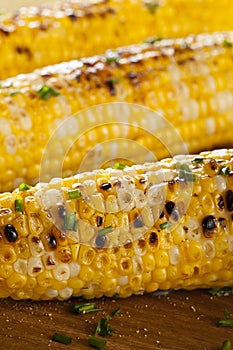 Organic Grilled Corn on the Cob