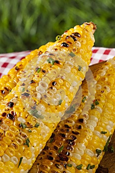 Organic Grilled Corn on the Cob