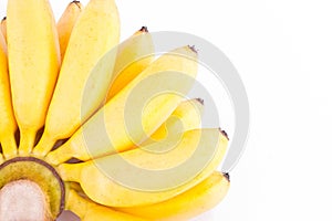 Organic hand of golden bananas on white background healthy Pisang Mas Banana fruit food isolated