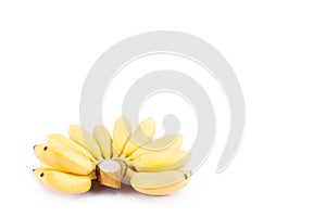 Organic hand of golden bananas on white background healthy Pisang Mas Banana fruit food isolated