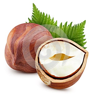 Organic hazelnuts isolated on white background