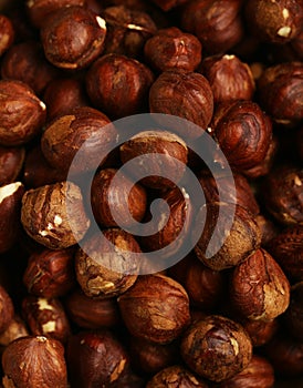 Organic hazelnuts nuts