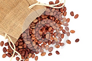 Organic Healthy Fava Beans for Good Health